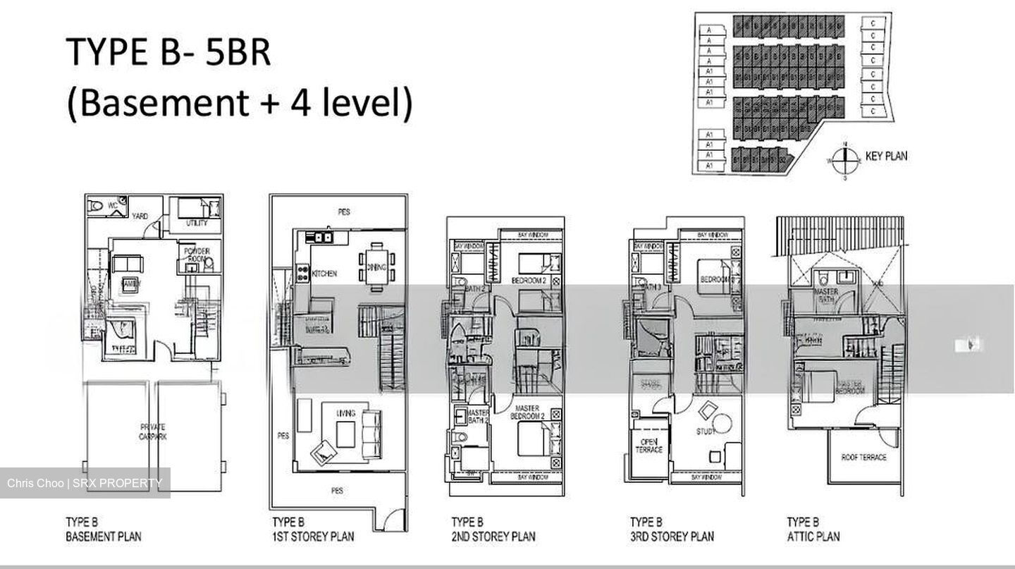 Holland Link (D10), Terrace #497123981
